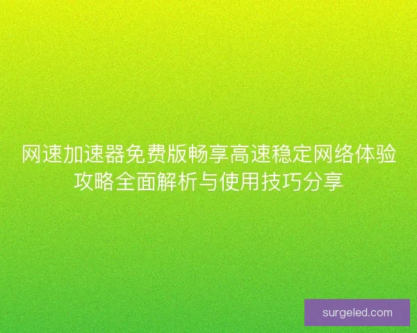 网速加速器免费版畅享高速稳定网络体验攻略全面解析与使用技巧分享